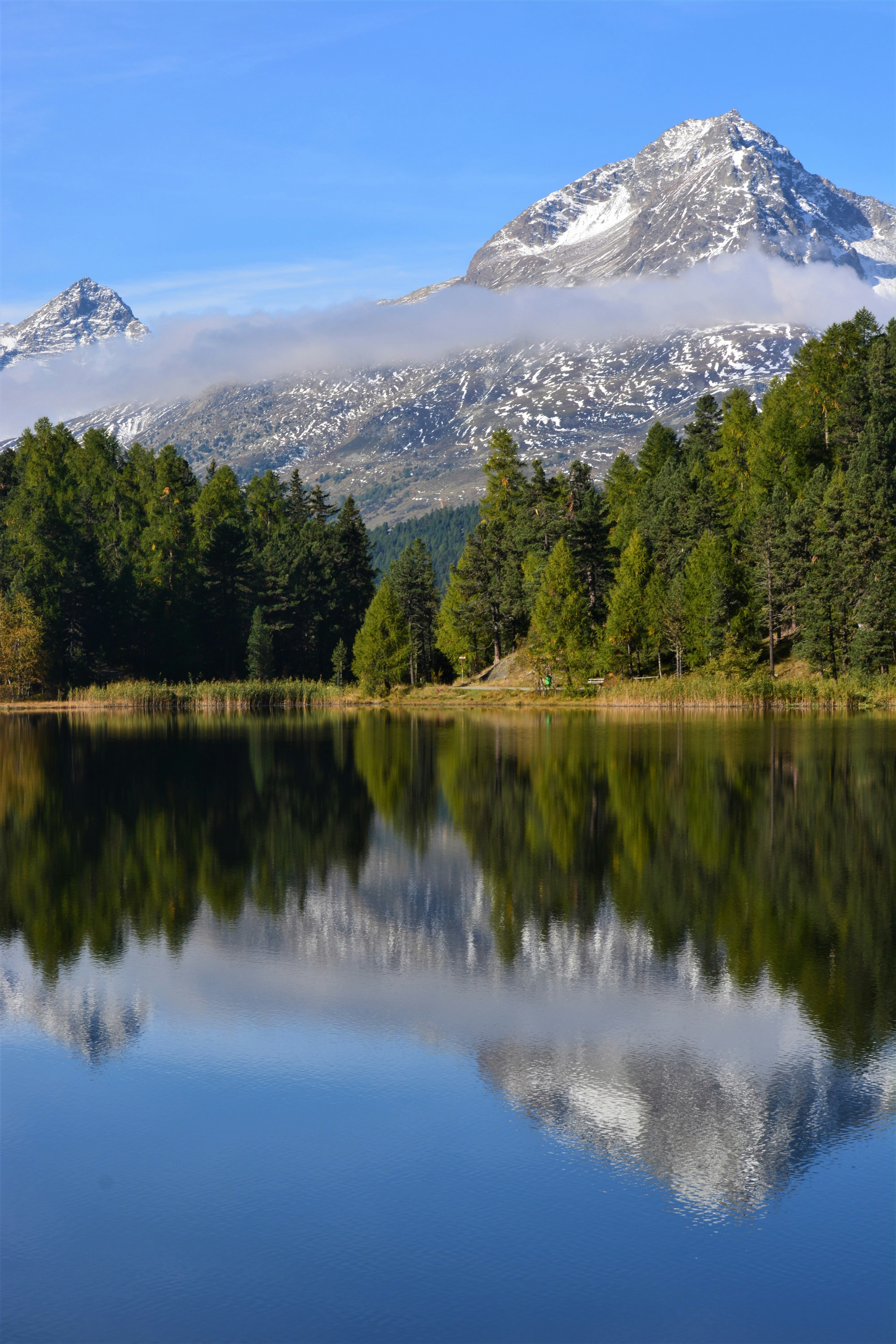 green trees near lake and snow covered mountain during daytime